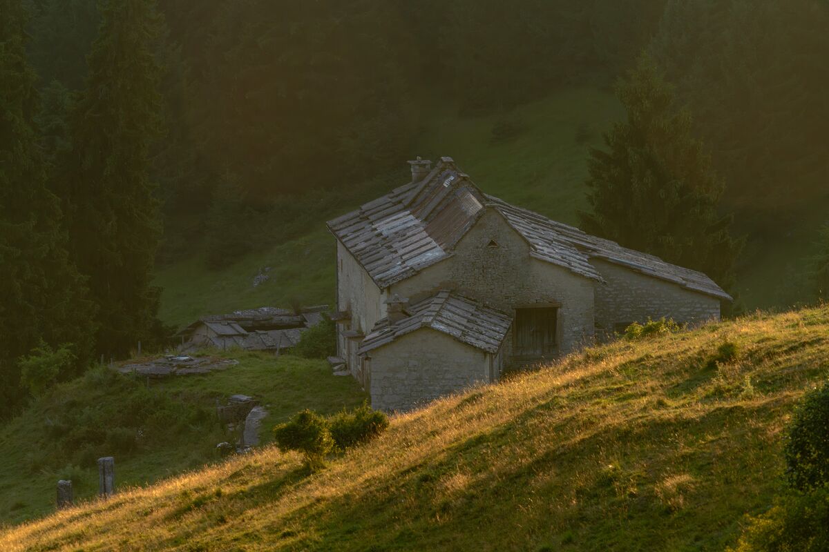 Paesaggio e wildlife della Lessinia e del Monte Baldo, Roberto Mettifogo Luce² · Verona (44)