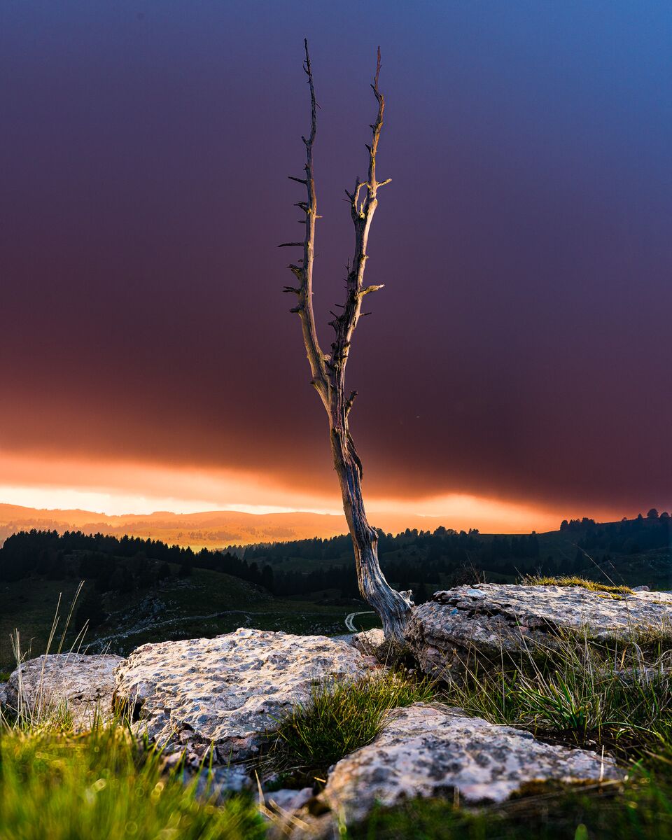Paesaggio e wildlife della Lessinia e del Monte Baldo, Roberto Mettifogo Luce² · Verona (49)