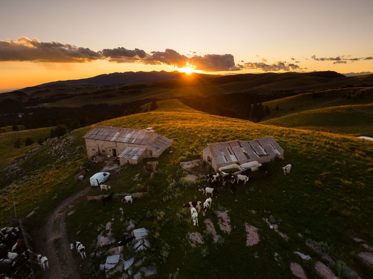 Paesaggio e wildlife della Lessinia e del Monte Baldo, Roberto Mettifogo Luce² · Verona (50)