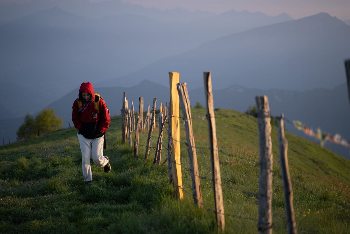 Paesaggio e wildlife della Lessinia e del Monte Baldo, Roberto Mettifogo Luce² · Verona (56)