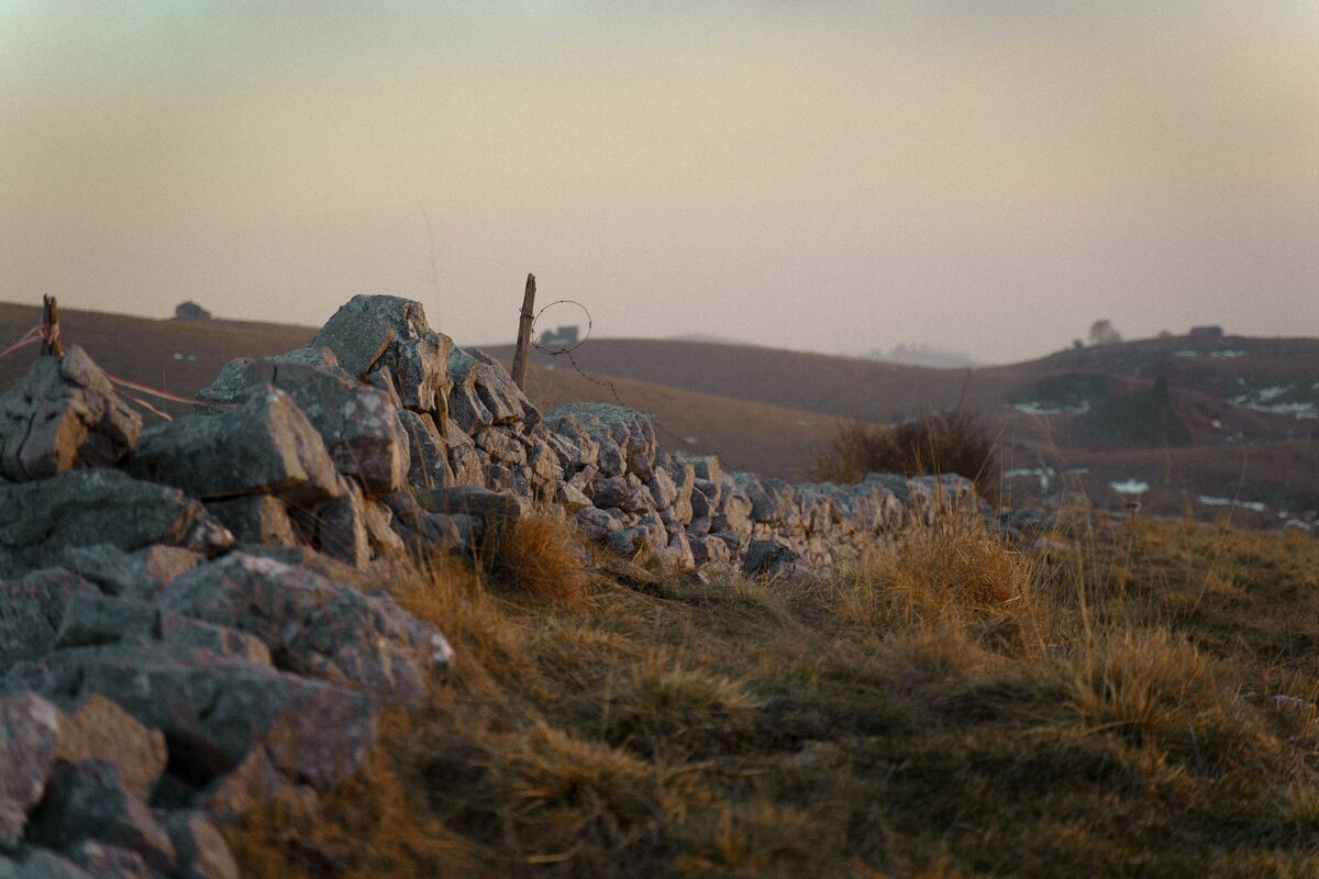 Paesaggio e wildlife della Lessinia e del Monte Baldo, Roberto Mettifogo Luce² · Verona (62)