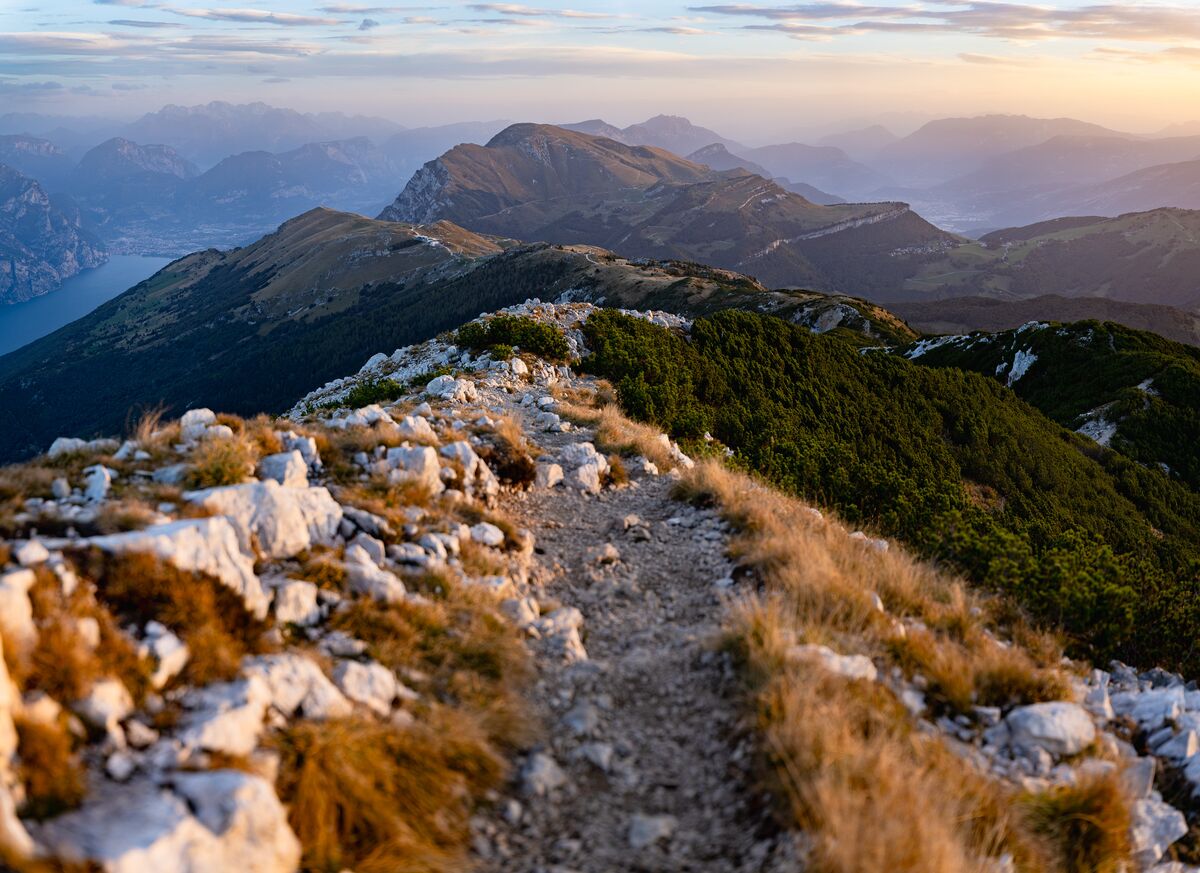 Paesaggio e wildlife della Lessinia e del Monte Baldo, Roberto Mettifogo Luce² · Verona (75)