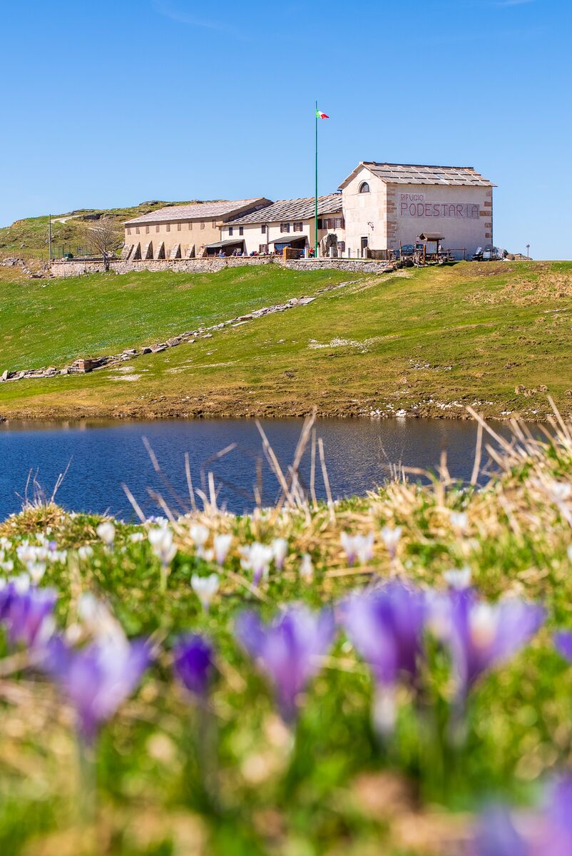 Paesaggio e wildlife della Lessinia e del Monte Baldo, Roberto Mettifogo Luce² · Verona (84)
