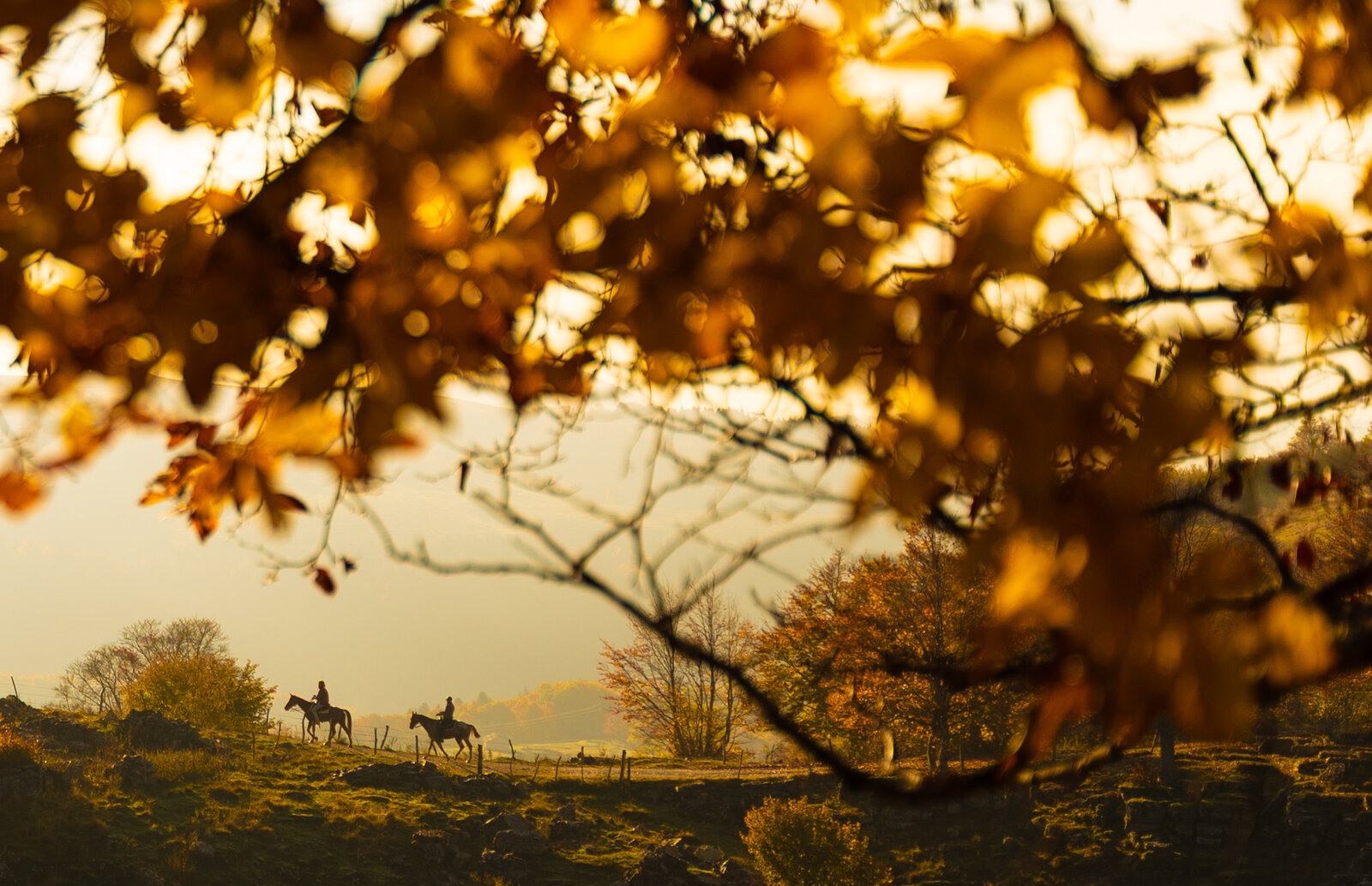 Ritratti nel foliage d'autunno della Lessinia