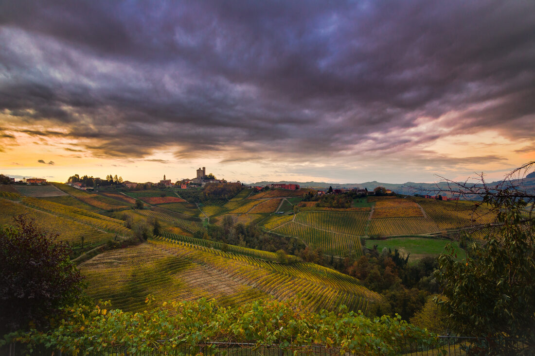 Fotografia del vino, vigneti e uva, Roberto Mettifogo Luce² · Nord Italia (02)
