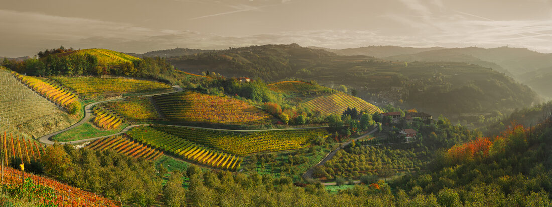 Fotografia del vino, vigneti e uva, Roberto Mettifogo Luce² · Nord Italia (11)