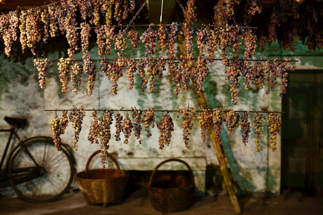 Fotografia del vino, vigneti e uva, Roberto Mettifogo Luce² · Nord Italia (13)