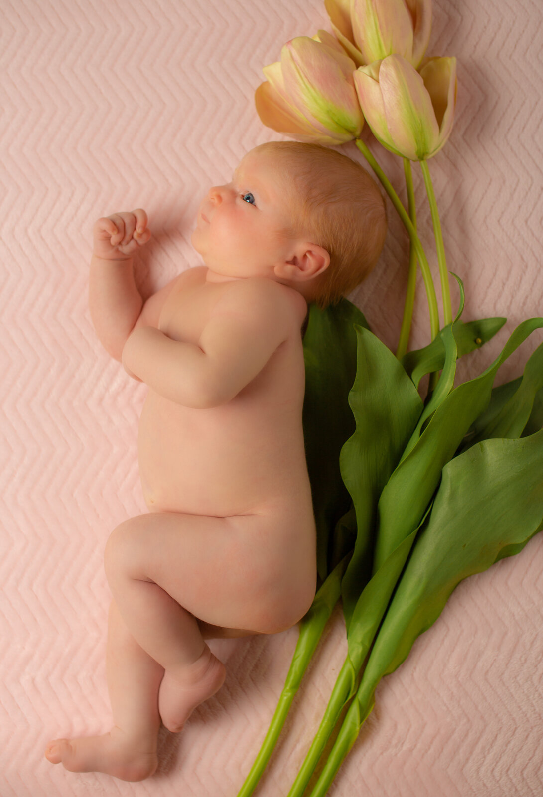 Neonata con tulipani, servizio newborn Roberto Mettifogo, Luce² · Verona